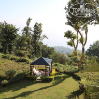 фото из отзыва ID 1702844