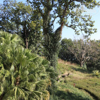 фото из отзыва ID 1702844