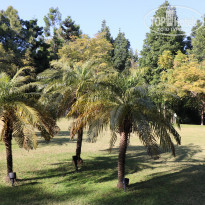 фото из отзыва ID 1702844