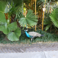 фото из отзыва ID 1702844