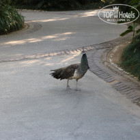 фото из отзыва ID 1702844