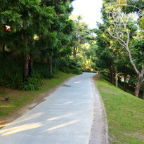 фото из отзыва ID 1702844