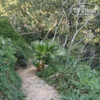 фото из отзыва ID 1702844