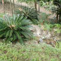 фото из отзыва ID 1702844