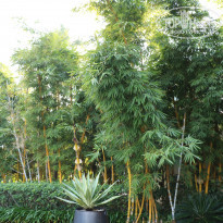 фото из отзыва ID 1702844