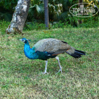 фото из отзыва ID 1702844