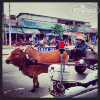 фото из отзыва ID 1702872