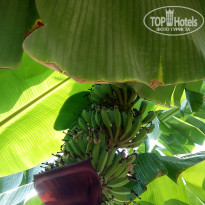 фото из отзыва ID 1702881