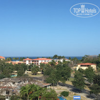 фото из отзыва ID 1703267