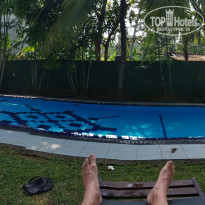 фото из отзыва ID 1703335