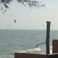 фото из отзыва ID 1703382