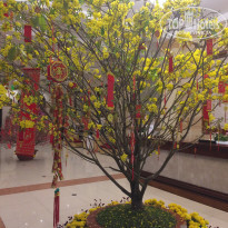 фото из отзыва ID 1703382