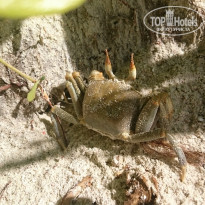 фото из отзыва ID 1703392