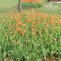 фото из отзыва ID 1703352