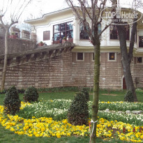 фото из отзыва ID 1703352