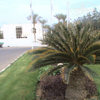 фото из отзыва ID 1703426