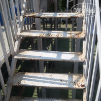 фото из отзыва ID 1703437