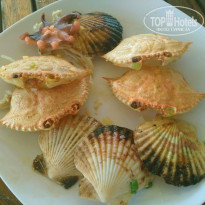 фото из отзыва ID 1703442