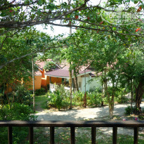 фото из отзыва ID 1703487