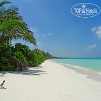 фото из отзыва ID 1703562