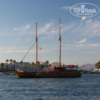 фото из отзыва ID 1703603