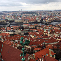 фото из отзыва ID 1703653