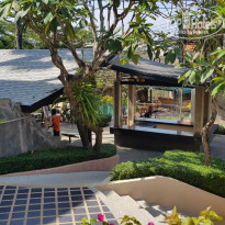 фото из отзыва ID 1703751