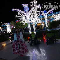 фото из отзыва ID 1703609