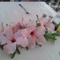 фото из отзыва ID 1703835