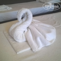 фото из отзыва ID 1703964