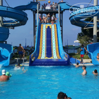 фото из отзыва ID 1704253