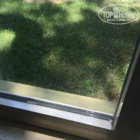 фото из отзыва ID 1704259