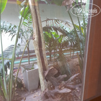 фото из отзыва ID 1704308