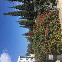 фото из отзыва ID 1704268