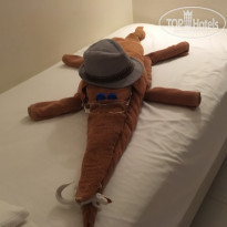 фото из отзыва ID 1704359