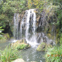 фото из отзыва ID 1704367