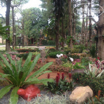 фото из отзыва ID 1704447