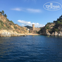 фото из отзыва ID 1704470