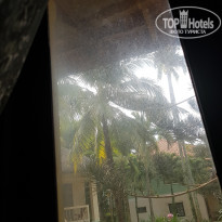 фото из отзыва ID 1704510