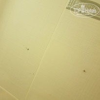 фото из отзыва ID 1704510