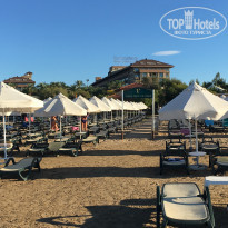 фото из отзыва ID 1704566