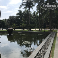 фото из отзыва ID 1704909