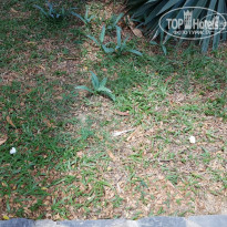 фото из отзыва ID 1705038