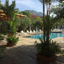 фото из отзыва ID 1705046