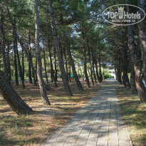 фото из отзыва ID 1705159