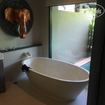 фото из отзыва ID 1705281