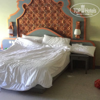 фото из отзыва ID 1705281