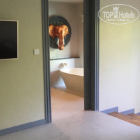 фото из отзыва ID 1705281