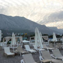 фото из отзыва ID 1705364