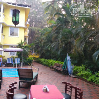 фото из отзыва ID 1705373